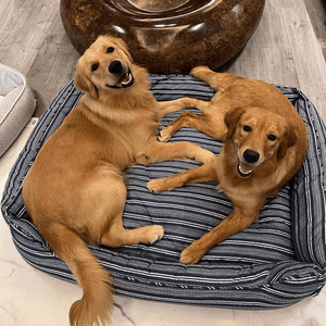 Pawpourri Striped Cuddler Bed for Dogs and Cats (Blue Stripe)