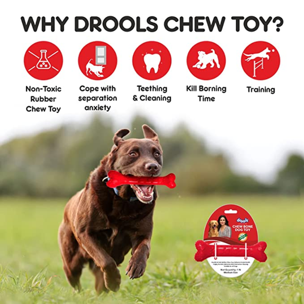 Drools Non Toxic Rubber Chew Bone Teething Toy for Puppies and Dogs | For Aggressive Chewers