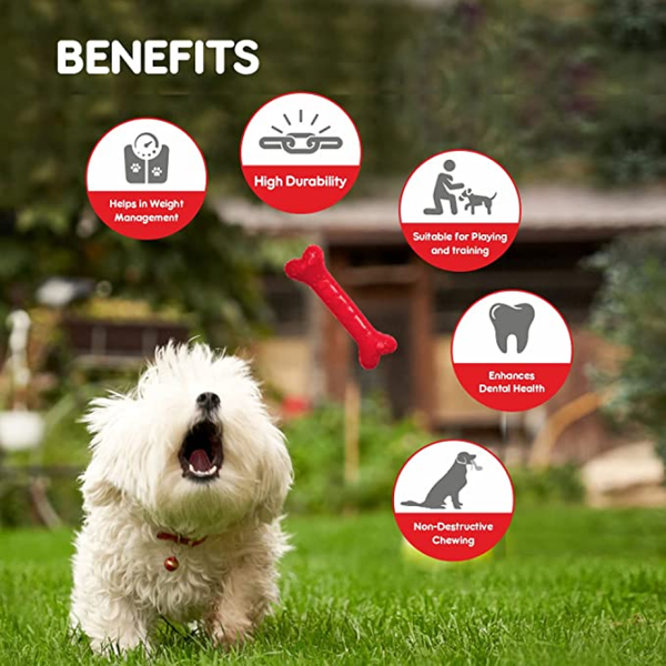 Drools Non Toxic Rubber Chew Bone Teething Toy for Puppies and Dogs | For Aggressive Chewers