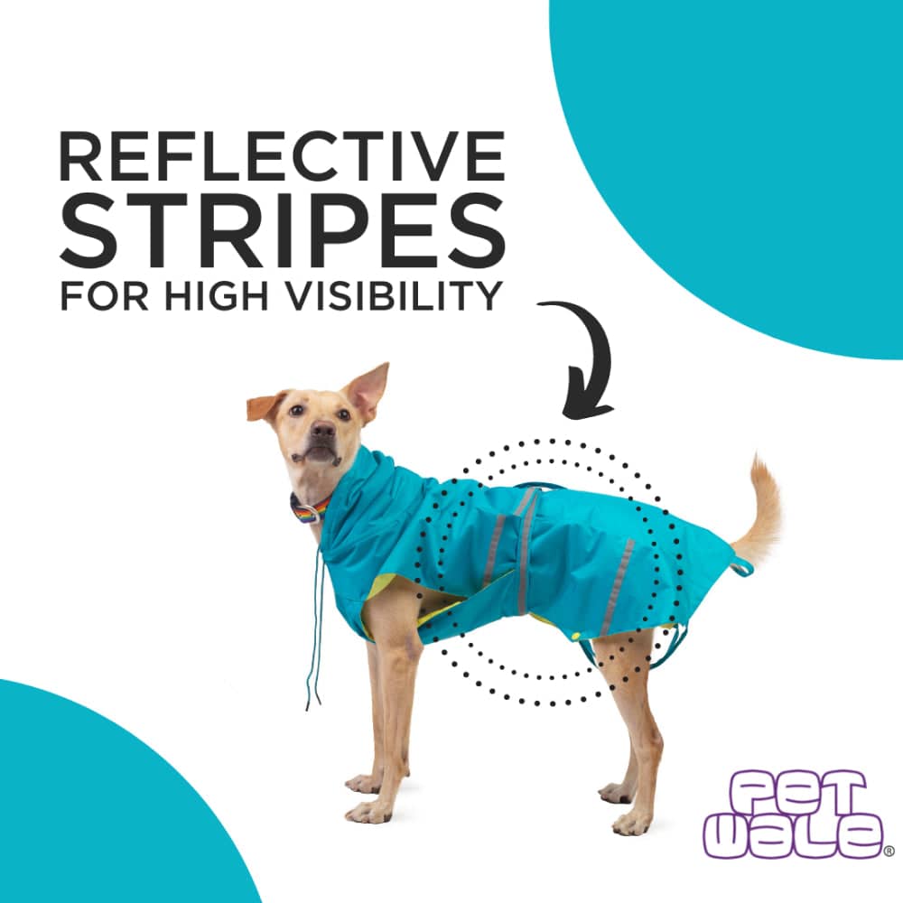 PetWale Reflective Raincoat for Dogs (Turquoise)