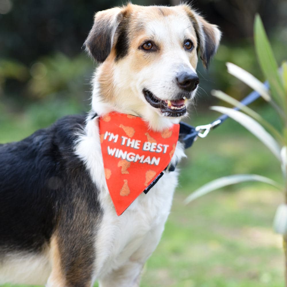 Mutt of Course Cotton Best Wingman Bandana For Dogs