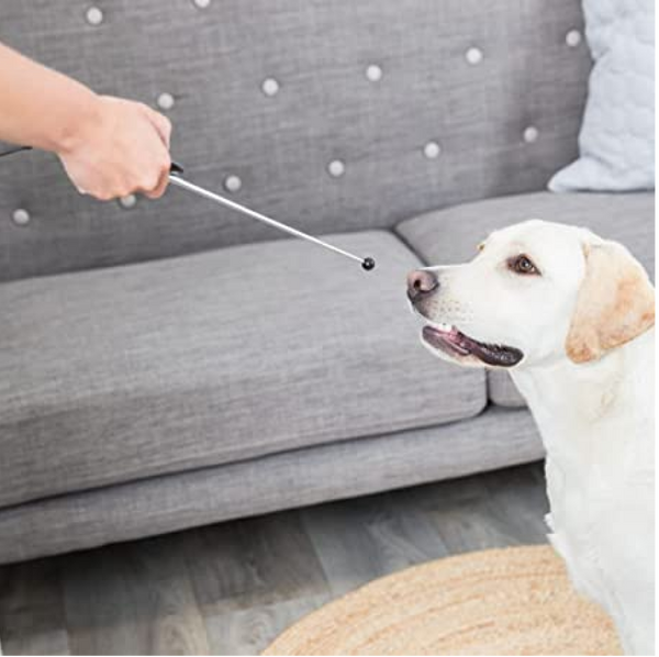 Trixie Target Stick with Clicker Button Retractable Toy for Dogs and Cats (Grey)