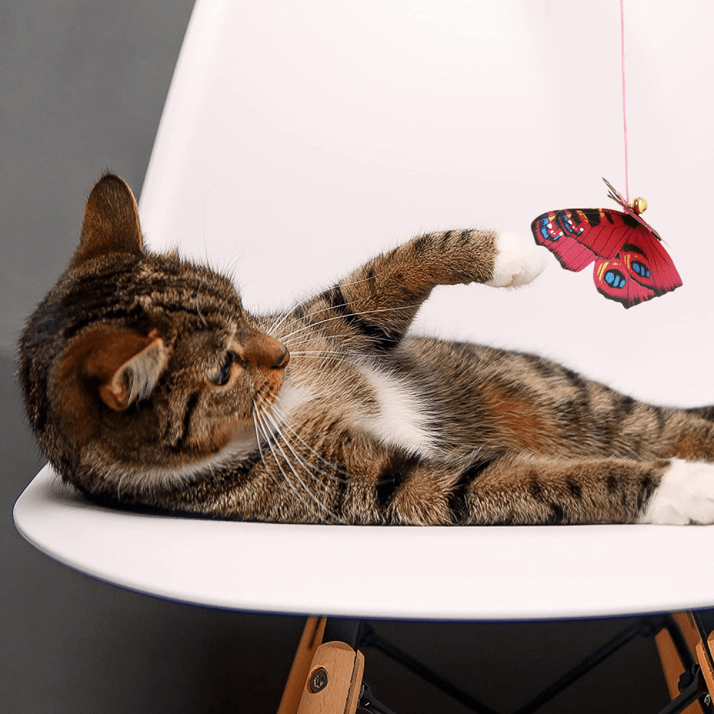 Basil Teaser with Butterfly & Bell Toy for Cats