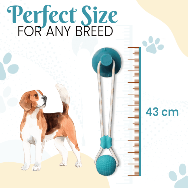 Basil Silicon Vacuum Cup with Rope & Ball Toy for Dogs and Cats | For Medium Chewers (Purple)