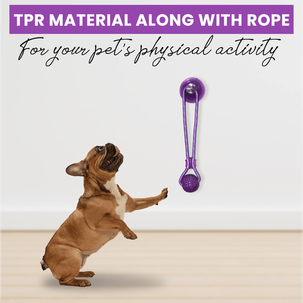 Basil Silicon Vacuum Cup with Rope & Ball Toy for Dogs and Cats | For Medium Chewers (Purple)