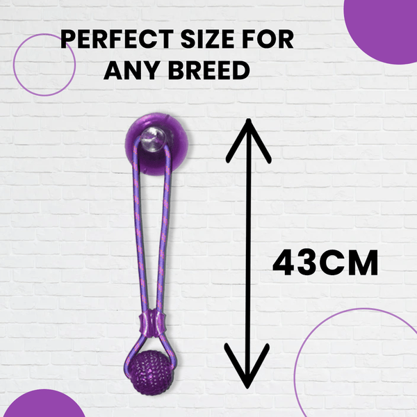 Basil Silicon Vacuum Cup with Rope & Ball Toy for Dogs and Cats | For Medium Chewers (Purple)