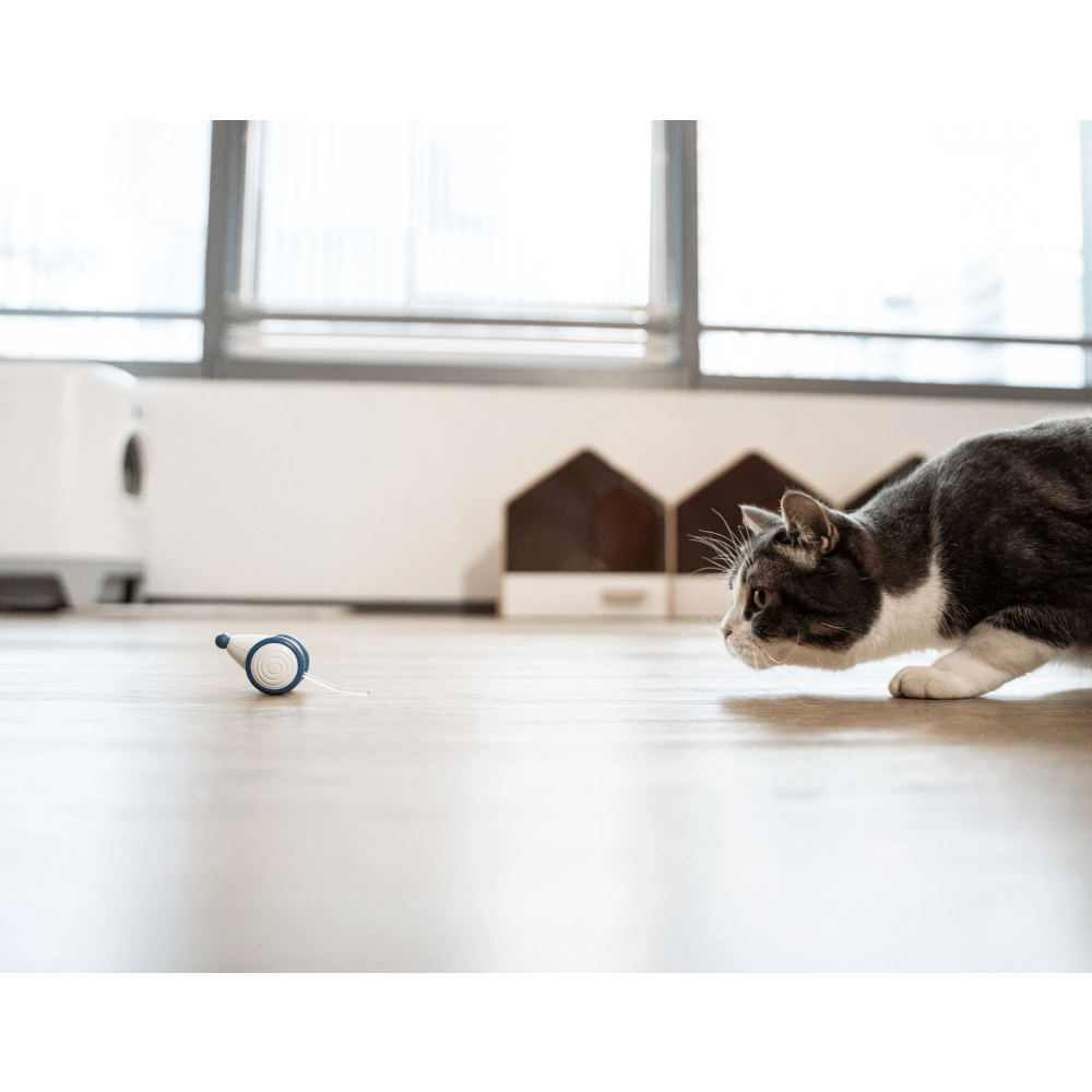 Cheerble Wicked Mouse Interactive Toy for Cats (Blue) Cats-Toys Cheerble
