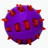 Basil Squeaky Rubber Ball Toy for Dogs