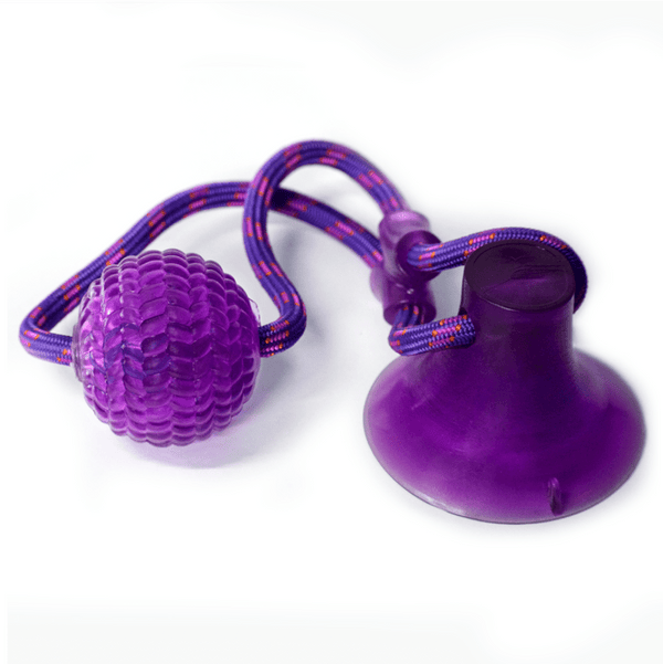 Basil Silicon Vacuum Cup with Rope & Ball Toy for Dogs and Cats | For Medium Chewers (Purple)