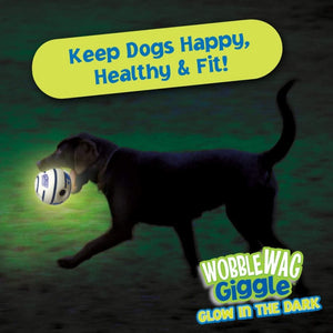 Wobble Wag Giggle Glow in The Dark Interactive Toy for Dogs | For Medium Chewers (White)