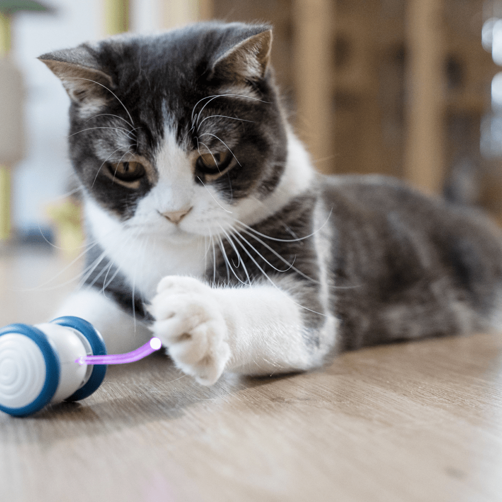 Cheerble Wicked Mouse Interactive Toy for Cats (Blue) Cats-Toys Cheerble