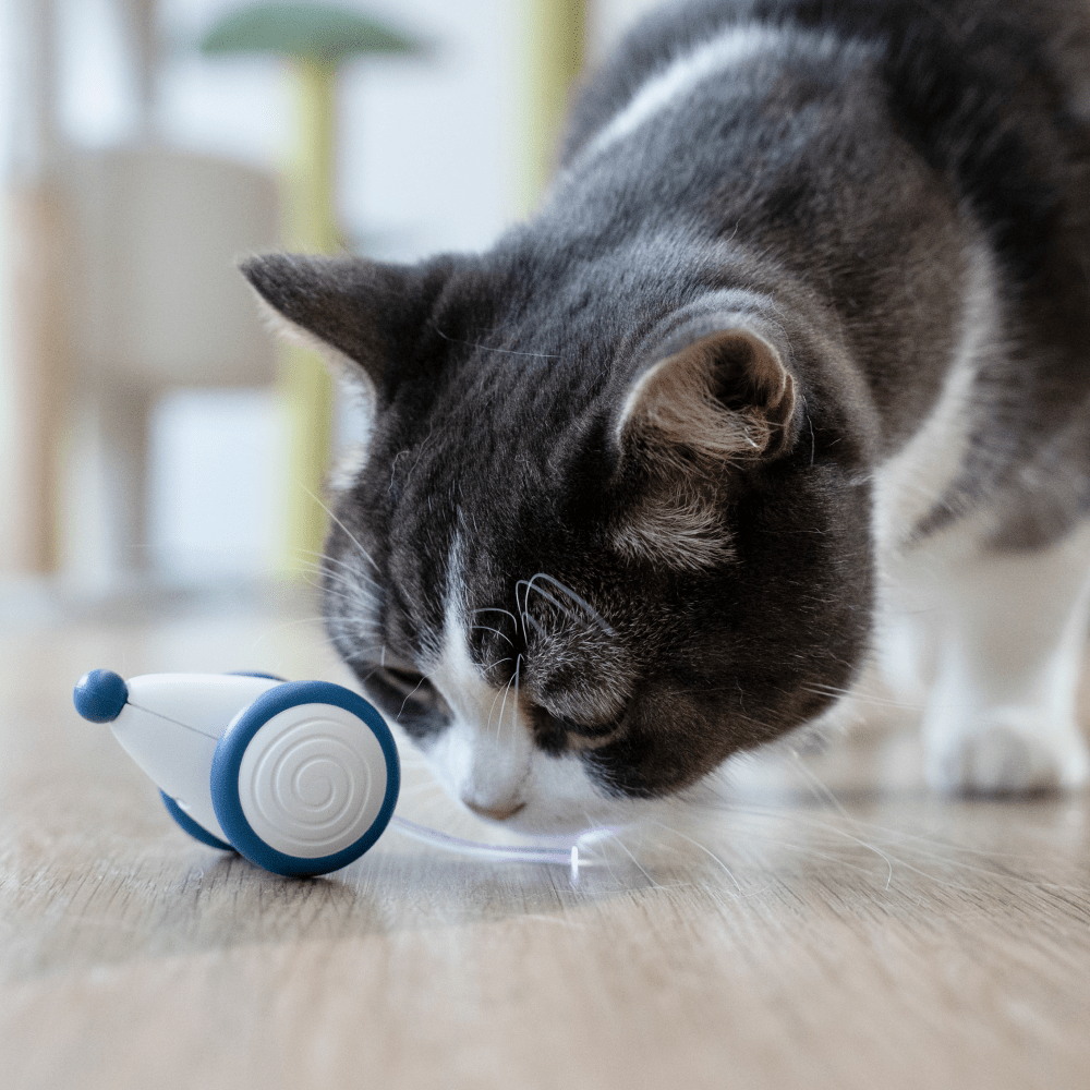 Cheerble Wicked Mouse Interactive Toy for Cats (Blue)