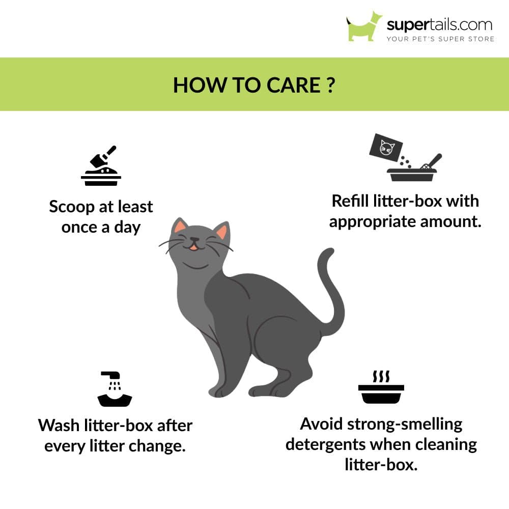Beco Litter Tray for Cats