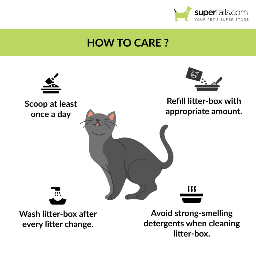Savic Aseo Litter Tray for Cats (Bluestone)