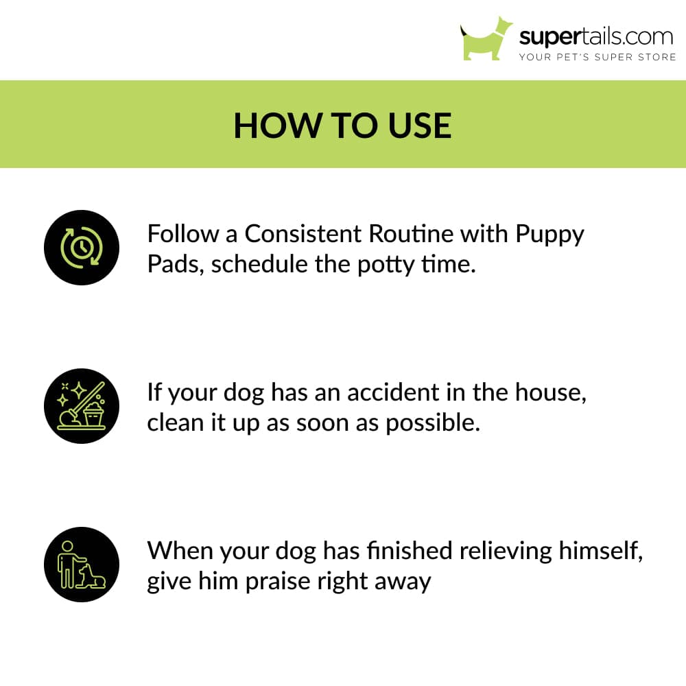 Basil Puppy Training Pads (60x60cm) Dogs-Health & Wellness Basil