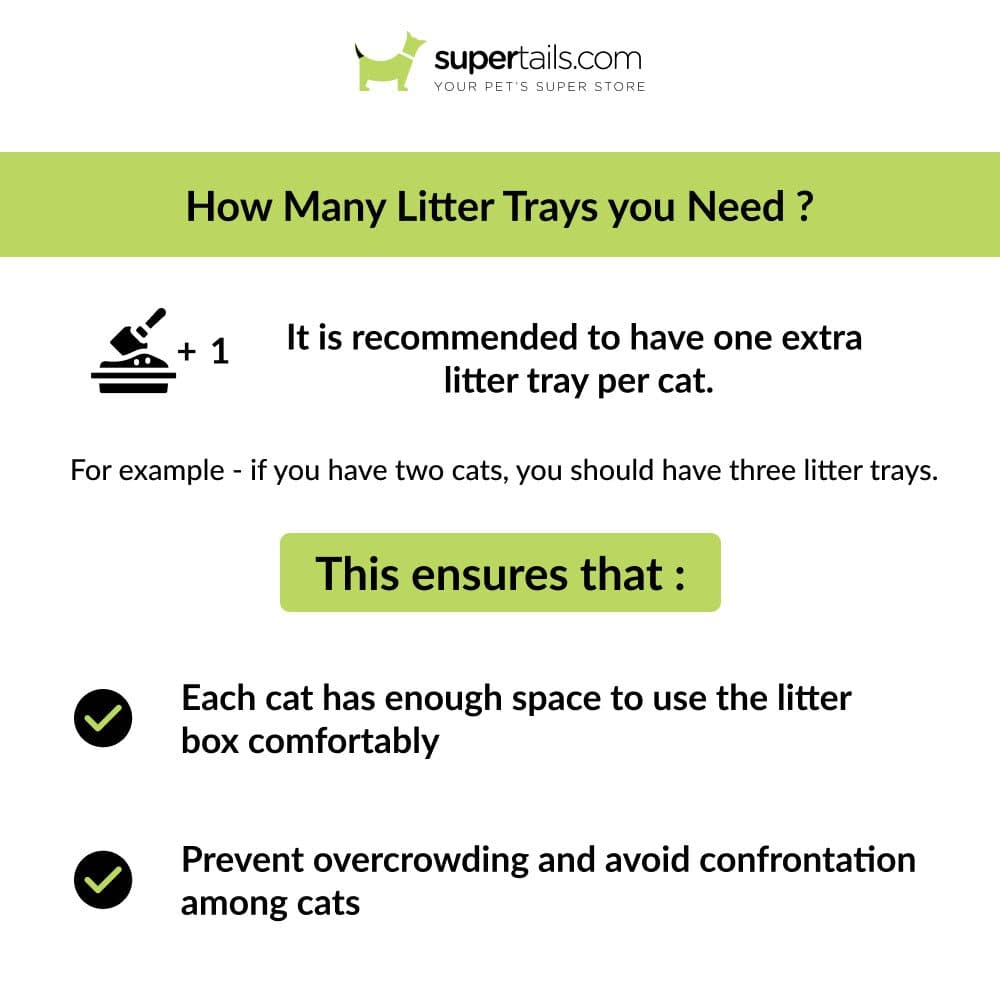 M Pets Mansura Litter Tray with Rim for Cats (White/Green) Litter Supplies M Pets