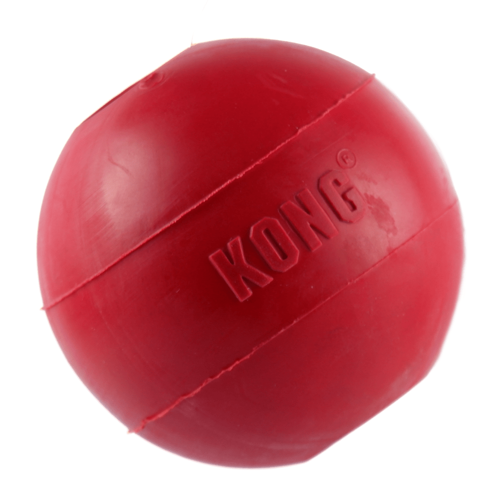 Kong Ball with Hole Toy for Dogs