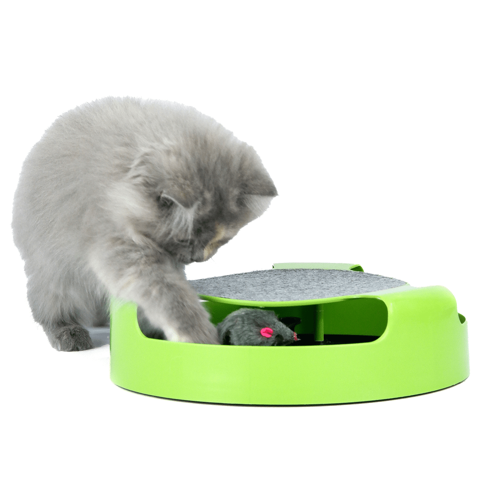 Kiki N Pooch Wheel Scratcher Toy for Cats