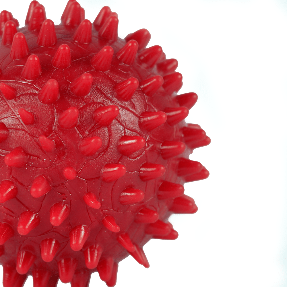 Drools Non Toxic Rubber Stud Spike Hard Ball Chew Teething Toy for Puppies and Dogs | For Aggressive Chewers