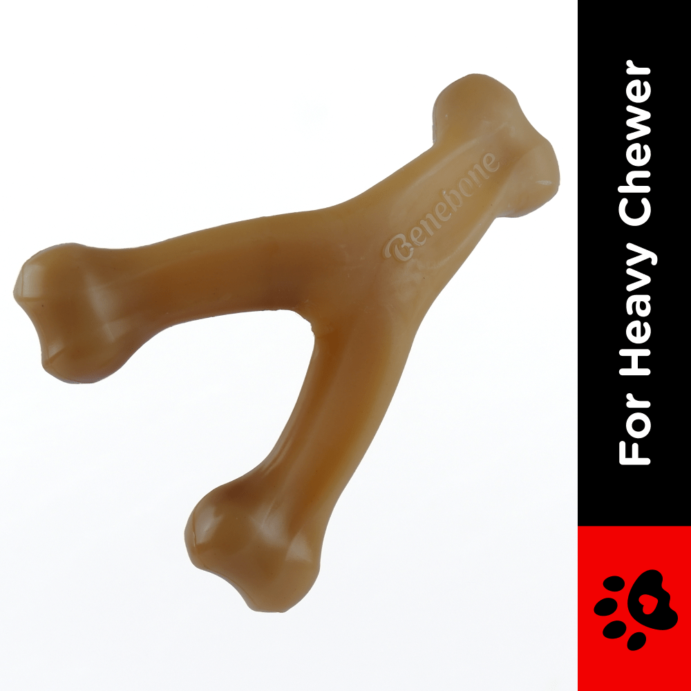 Benebone Bacon Flavored Wishbone Chew Toy for Dogs | For Aggressive Chewers Dogs-Toys Benebone