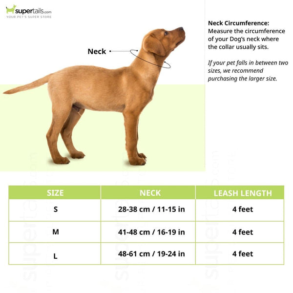 FurBuddies Myrtle Nylon Collar for Dogs (Green)