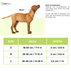 Glenand Nylon Mesh Collar for Dogs (Orange)