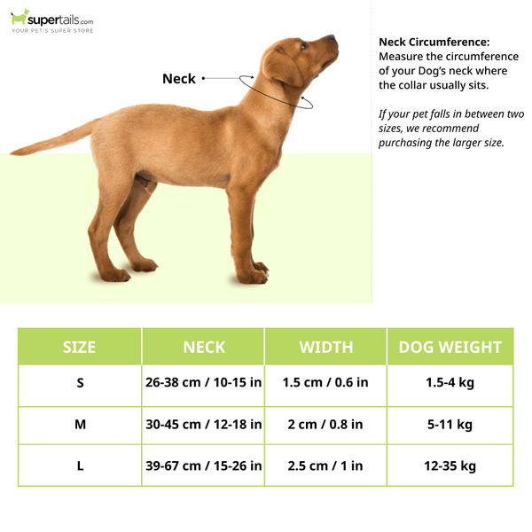Furry & Co Wild One Comfort Collar for Dogs
