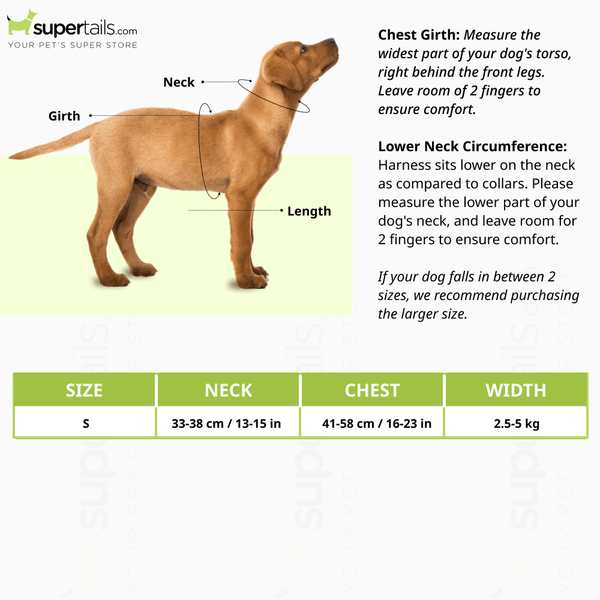 Ferplast Champion P Harness for Dogs (Blue)
