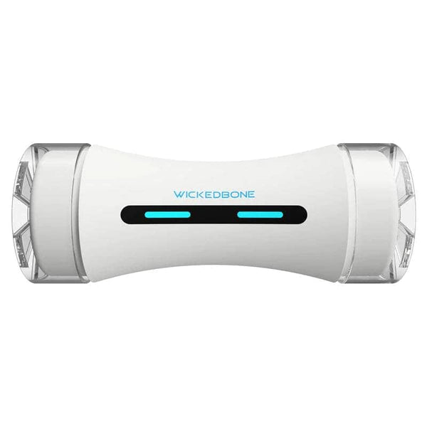 Cheerble Wicked Bone Interactive Toy for Dogs