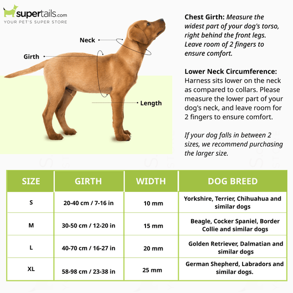 GiGwi Classic Line Harness for Dogs (Purple)