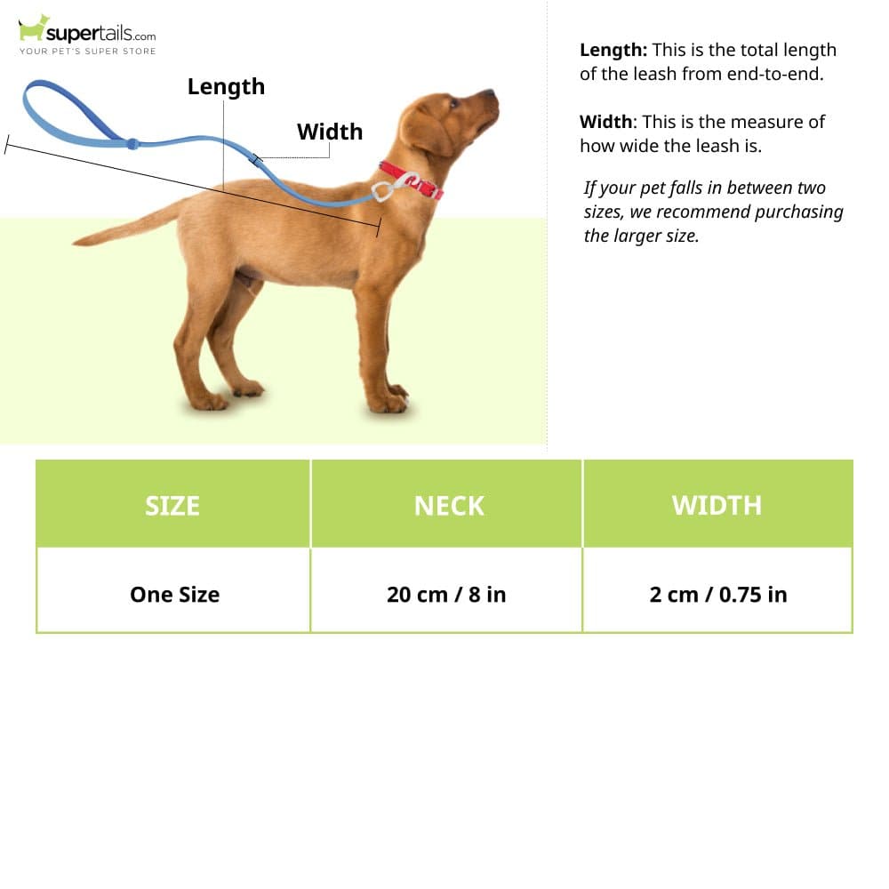 Glenand Petz Pure Nylon Padded Collar for Dogs (Light Green,3/4 inches)