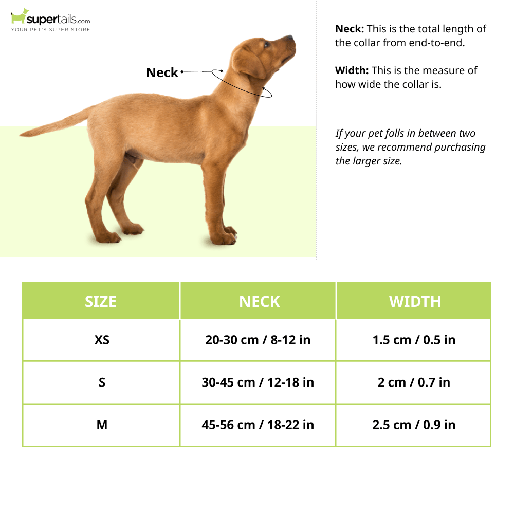Glucklich Printed Polyester Adjustable Pet Collar for Dogs (Ohio) Dogs-Collar, Leashes, harnesses Glucklich