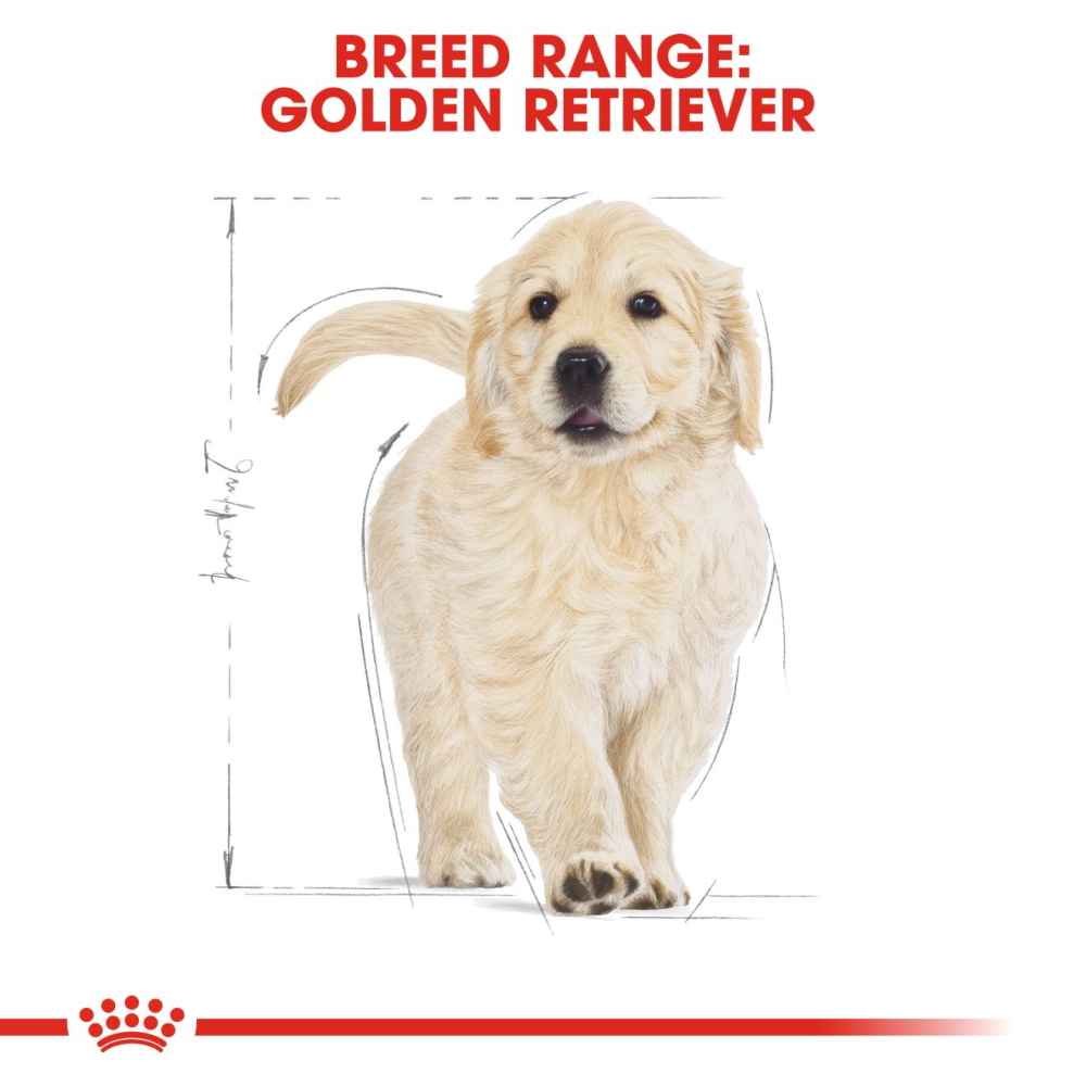 Royal canin golden retriever puppy dry dog deals food