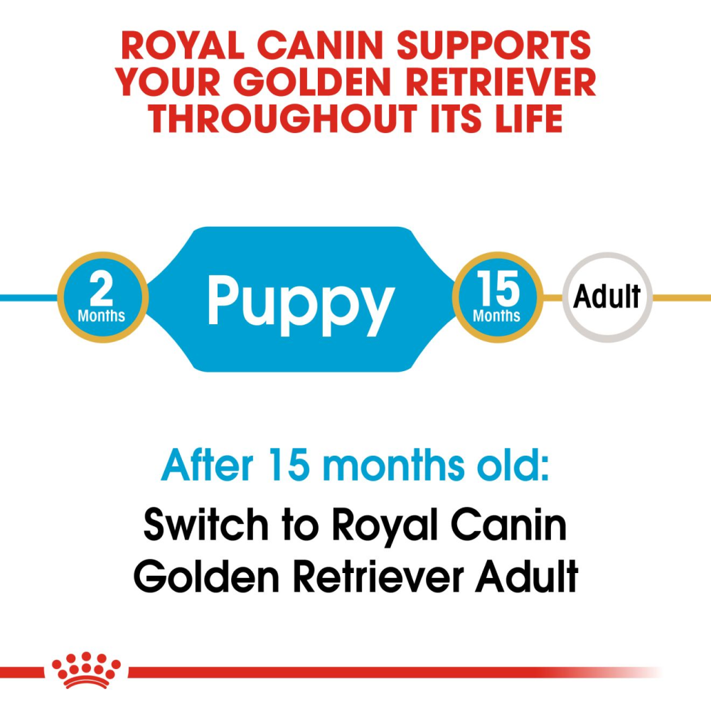 Royal canin golden 2024 retriever puppy 12kg