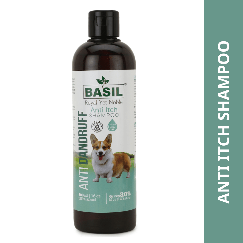 Basil Anti Dandruff & Anti Itch Shampoo for Dogs and Cats Both-Grooming Supplies Basil