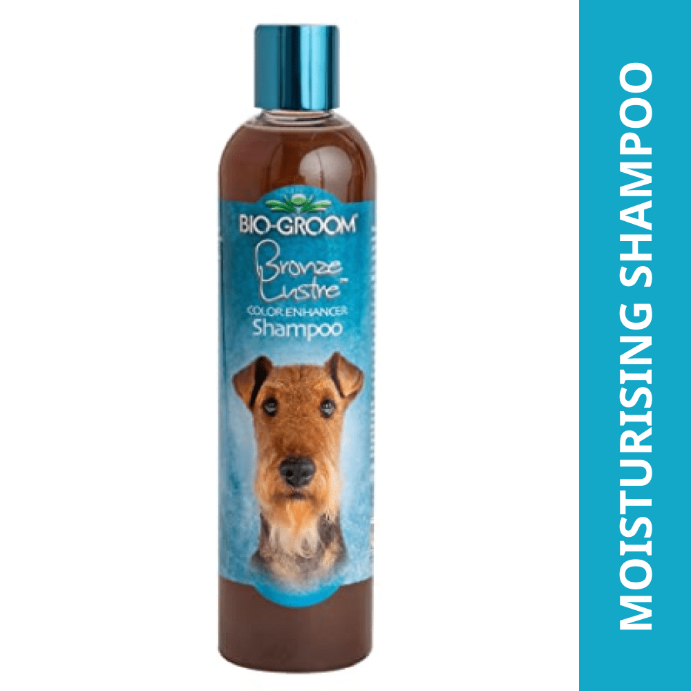 Bio Groom Bronze Lustre Color Enhancer Shampoo For Dogs