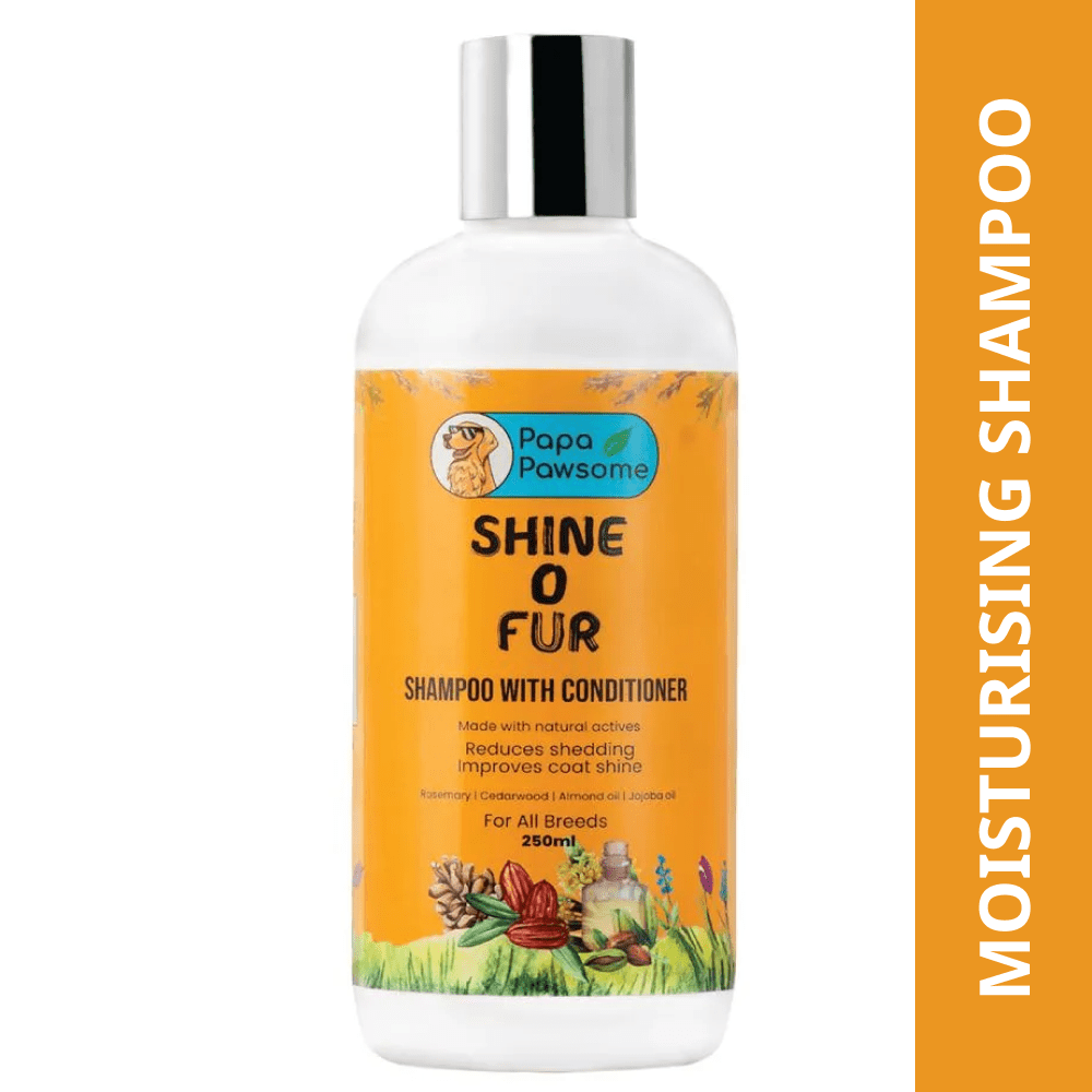 Papa Pawsome Shine O' Fur Shampoo with Conditioner for Dogs Dogs-Grooming Supplies Papa Pawsome 250mL