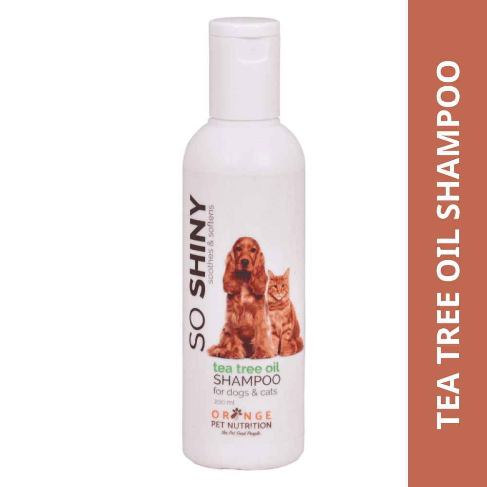 BI Grooming So Shiny Tea Tree Oil Shampoo for Dogs and Cats Both-Grooming Supplies Bi Grooming 200mL