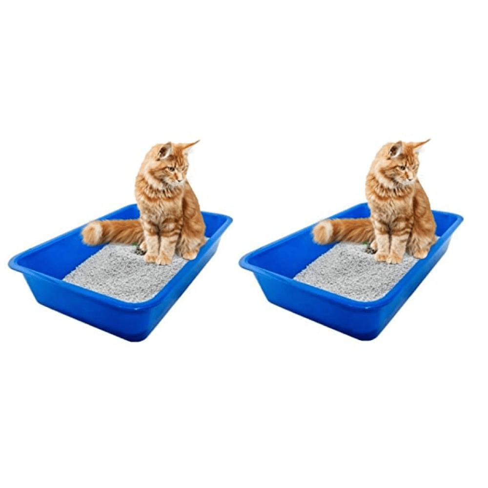 Petcrux Exclusive Litter Tray for Cats (Blue)