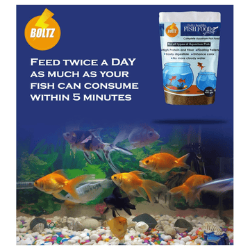 Boltz Healthy Fish Food