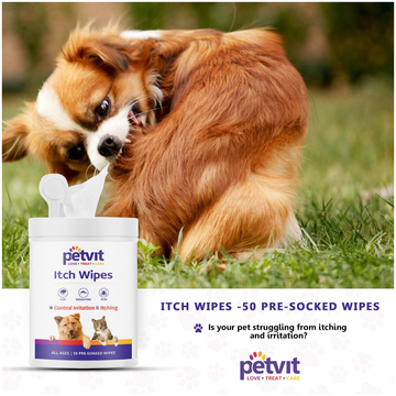 Petvit Itch Wipes for Dogs and Cats