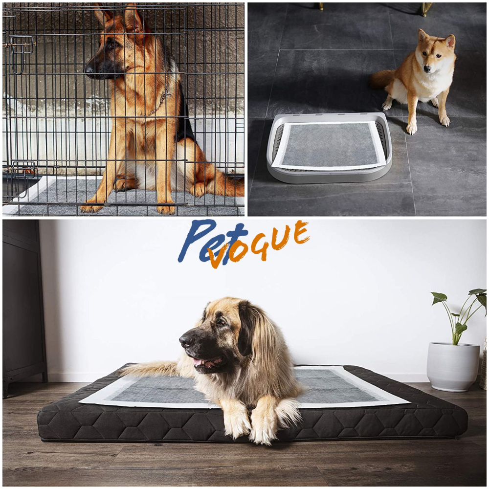 Pet Vogue Charcoal Pee Pads for Dogs (60x60 cm)