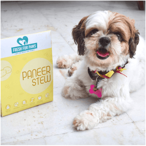 Fresh For Paws Paneer Stew Vegetarian Dog Wet Food (100g)