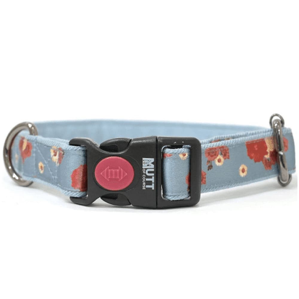 Mutt of Course Pawesome Blossom Collar for Dogs