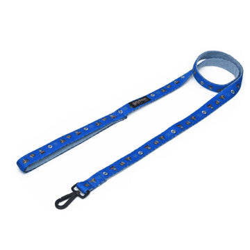 Harry Potter Welcome To Hogwarts Leash for Dogs