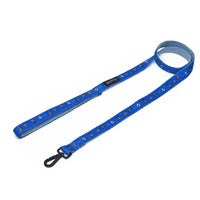 Harry Potter Welcome To Hogwarts Leash for Dogs