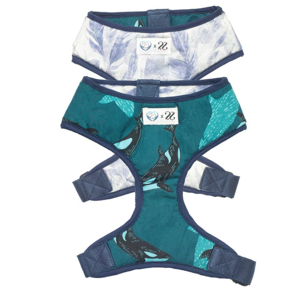 Pet And Parents Feather & Whale Reversible Harness for Dogs