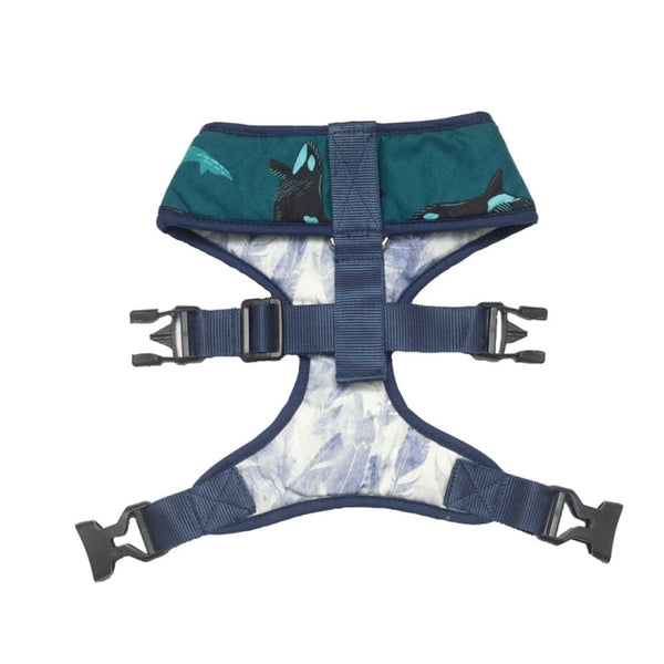 Pet And Parents Feather & Whale Reversible Harness for Dogs