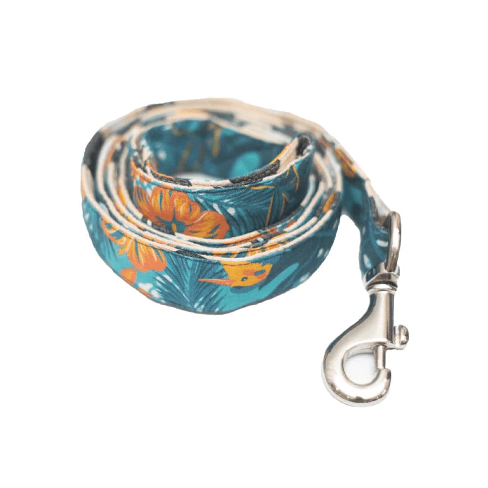 Pet And Parents Chocolaty Floral Leash for Dogs
