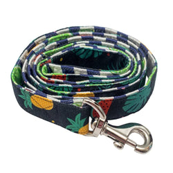 Pet And Parents Fresh Fruit Leash for Dogs